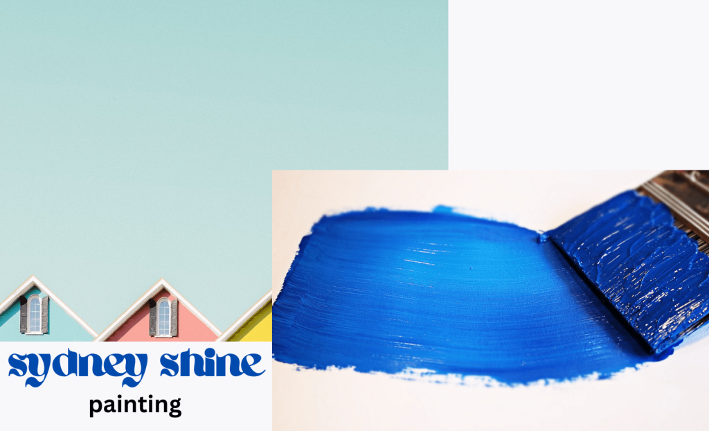 sydney shine painting roof painting service